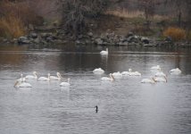 DSC01969.JPG