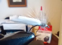 Fall webworm V2_a.jpg