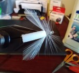 Fall webworm V2_b.jpg