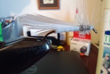 Fall Webworm Moth V1.jpg