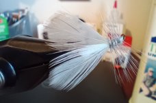 Fall Webworm Moth V1_c.jpg