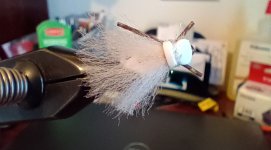 Fall Webworm Moth_UG Bug Version.jpg