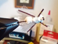 Fall Webworm Moth_UG Bug Version_2.jpg