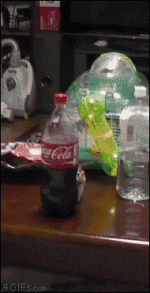 nPA5rv2.gif nPA5rv2.gif