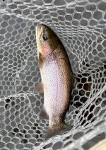 IMG_2070.jpeg