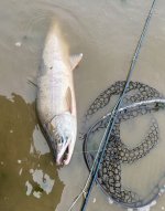 IMG_2066.jpeg