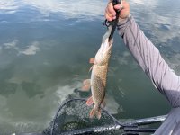IMG_3013.jpg