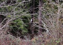IMG_4885.jpeg