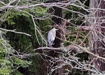 IMG_4886.jpeg
