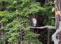 IMG_4887.jpeg