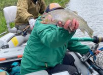 IMG_2953.jpg