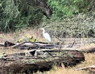 IMG_4889.jpeg