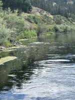 IMG_8283.jpeg
