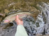 IMG_8280.jpeg