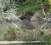 IMG_4804.jpeg