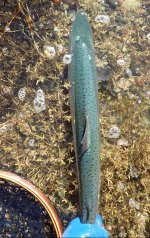 IMG_4894.jpeg