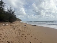 IMG_2106.jpeg