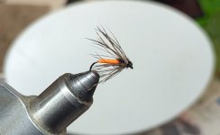 PXL_20251209_002009148.jpg