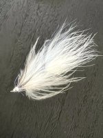 IMG_7480.jpeg