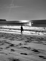 IMG_6646.jpeg