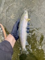 IMG_2189.jpeg