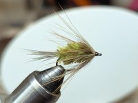 PXL_20251211_014748814.jpg