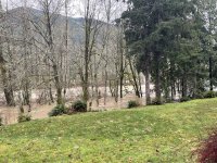 IMG_3968.jpeg