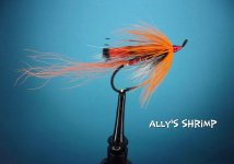 alley's shrimp.jpg