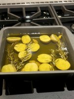 IMG_7495.jpeg