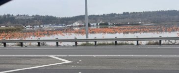 IMG_4965.jpeg