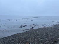 IMG_5588.jpeg