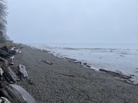 IMG_5591.jpeg