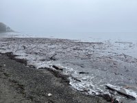 IMG_5592.jpeg