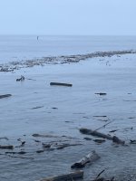IMG_5590.jpeg