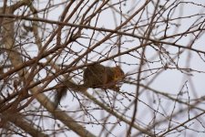DSC02017.JPG