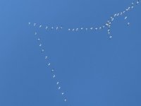 IMG_0959.jpeg