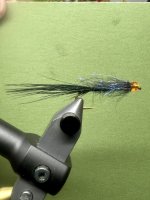 IMG_7516.jpeg