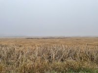 IMG_5368.jpeg