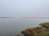 IMG_5370.jpeg