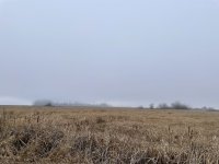 IMG_5371.jpeg