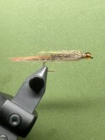 IMG_7520.jpeg