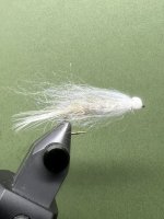IMG_7521.jpeg