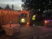 IMG_9303.jpeg