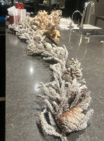 IMG_7525.jpeg