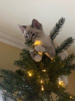 IMG_0147.jpeg
