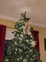 IMG_0190.jpeg