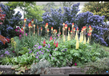 IMG_2979.png IMG_2979.png