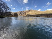 IMG_5511.jpeg IMG_5511.jpeg