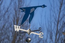 A00GooseWeathervane2C2A0099.jpg A00GooseWeathervane2C2A0099.jpg