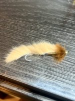 IMG_7538.jpeg